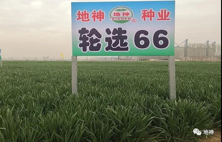 微信图片_20200603102148.jpg