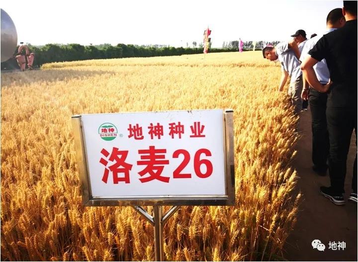 微信图片_20200603104523.jpg
