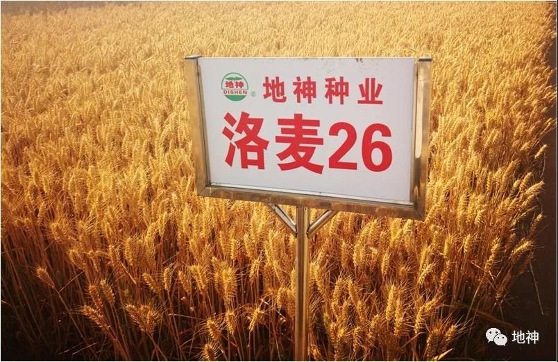 微信图片_20200603104601.jpg