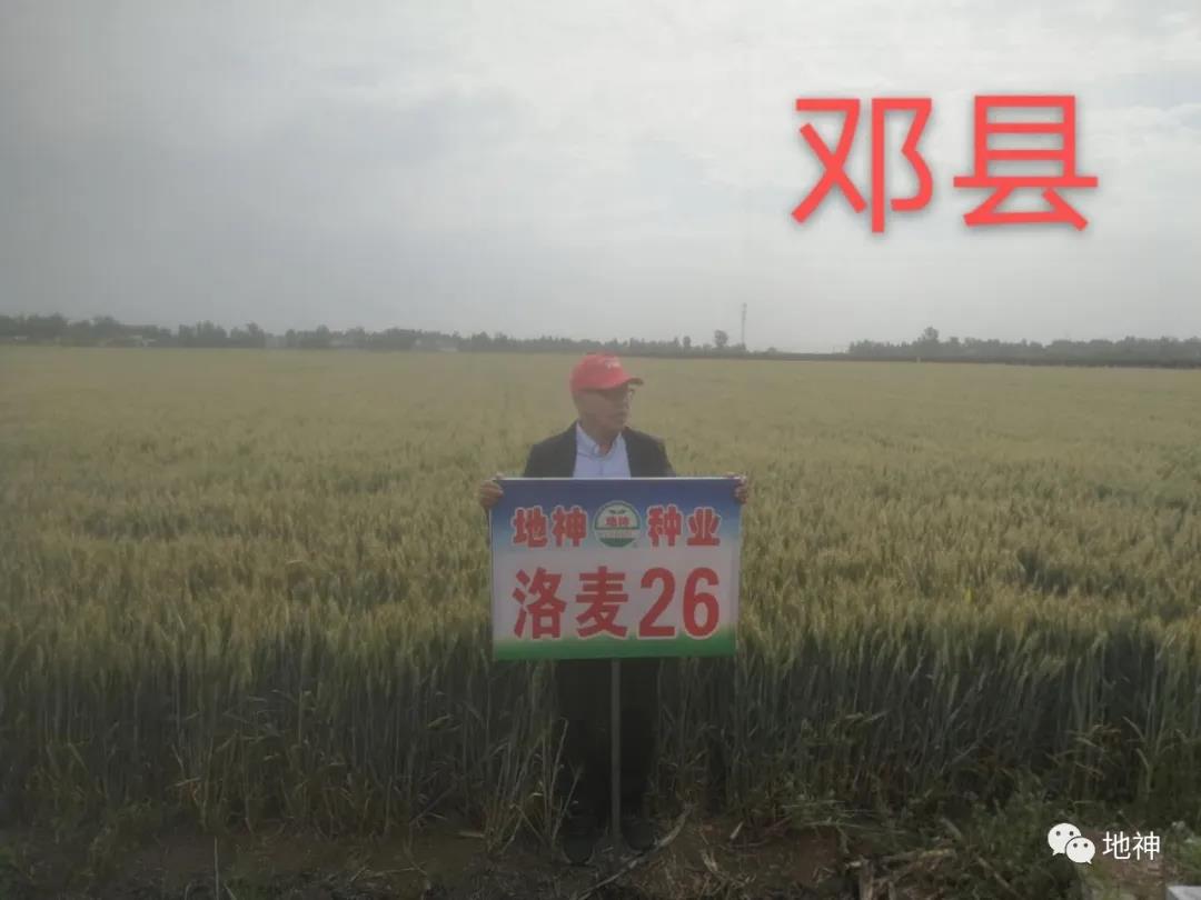微信图片_20200604100632.jpg