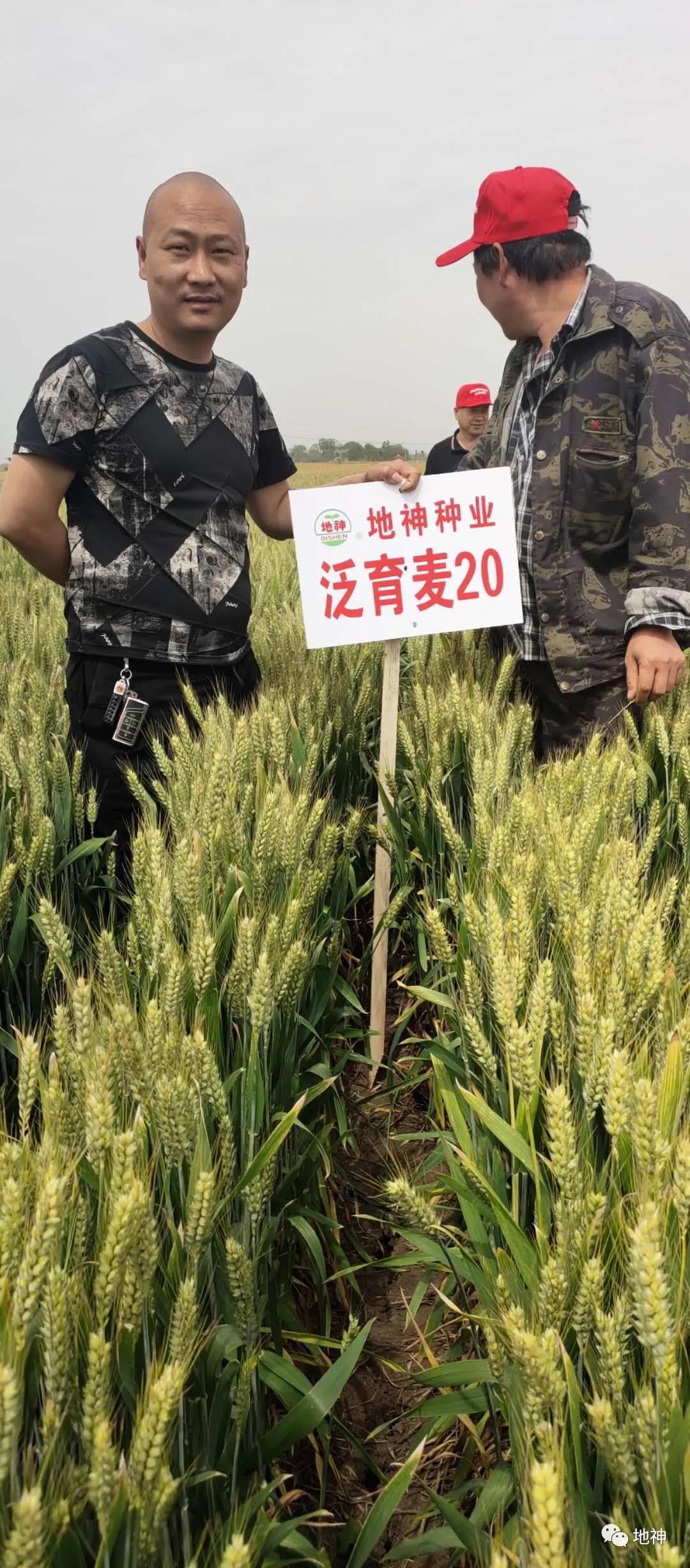 微信图片_20200604100645.jpg