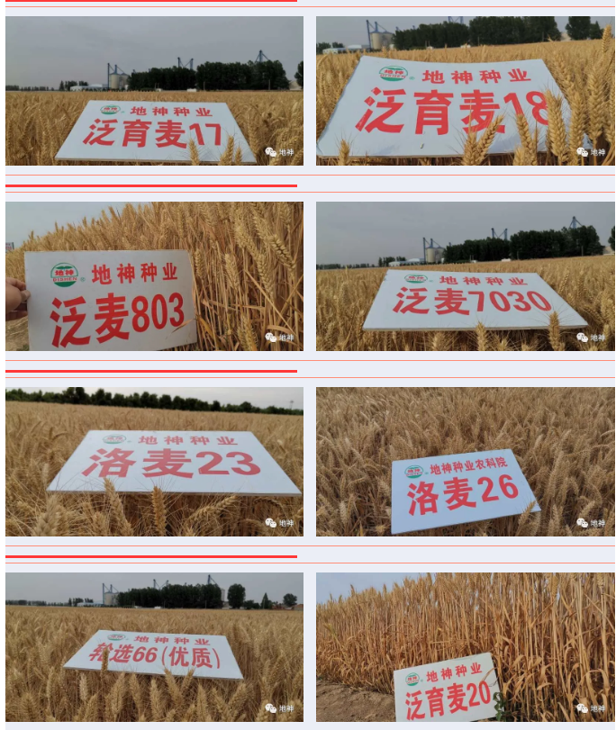 1591240217(1).png