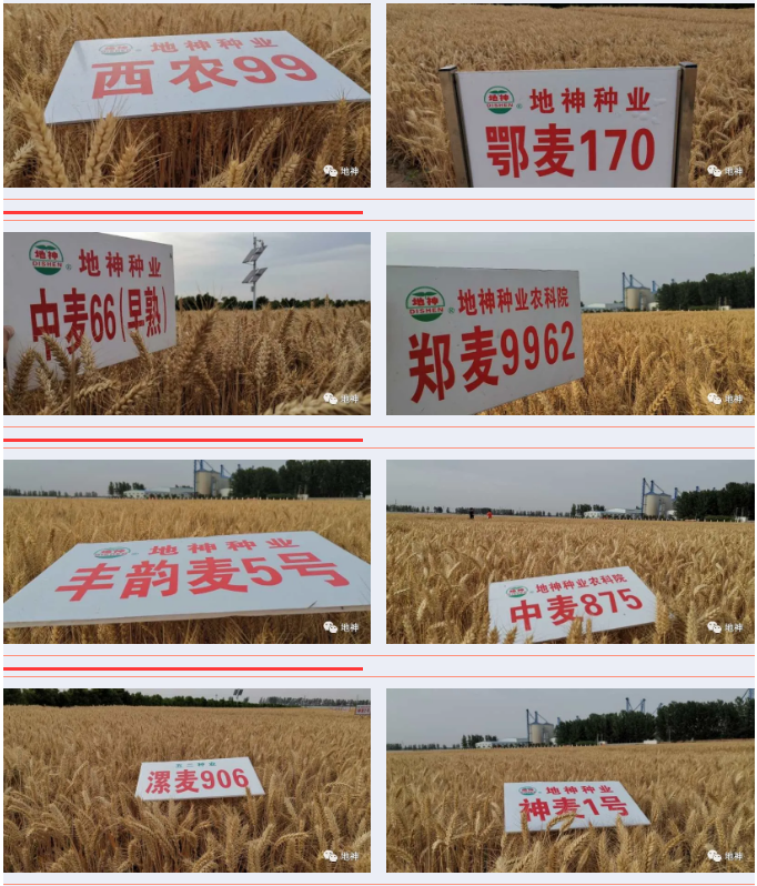 1591240240(1).png